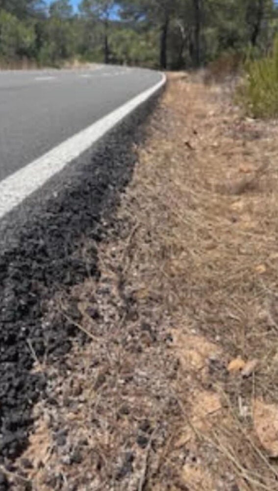 Imágenes que reflejan el mal estado del Camí des Pla Roig