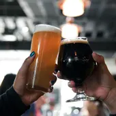 Día mundial de la cerveza: Cómo se celebra y cuáles son las mejores marcas según la OCU Día mundial de la cerveza: Cómo se celebra y cuáles son las mejores marcas según la OCU