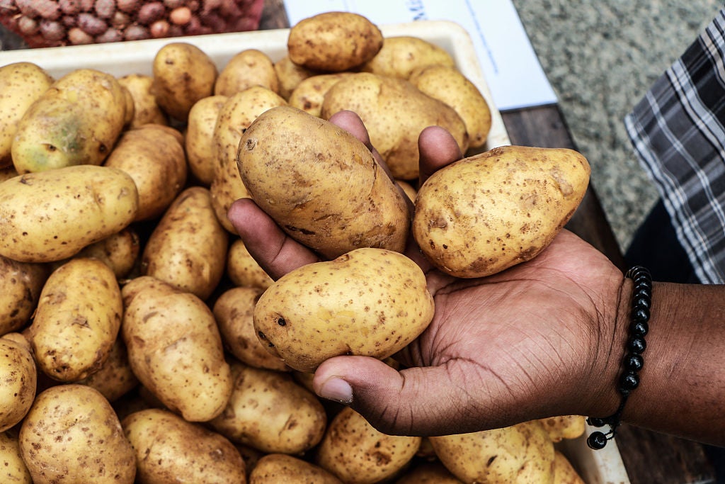 La patata evolucionó a partir del tomate hace unos 9 millones de años, apunta un estudio La patata evolucionó a partir del tomate hace unos 9 millones de años, apunta un estudio
