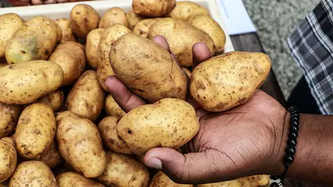 Este es el origen de la patata: sucedió hace 9 millones de años Este es el origen de la patata: sucedió hace 9 millones de años