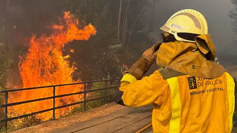 Imagen de un bombero forestal en el incendio declarado en las inmediaciones de A Cañiza (Pontevedra) el pasado miércoles. Imagen de un bombero forestal en el incendio declarado en las inmediaciones de A Cañiza (Pontevedra) el pasado miércoles.