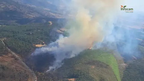 Confinados dos balnearios en la provincia por un incendio forestal Confinados dos balnearios en la provincia por un incendio forestal