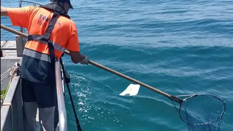 Los plásticos siguen siendo el principal elemento recogido en las aguas de la Costa del Sol Los plásticos siguen siendo el principal elemento recogido en las aguas de la Costa del Sol