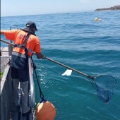 Los plásticos siguen siendo el principal elemento recogido en las aguas de la Costa del Sol