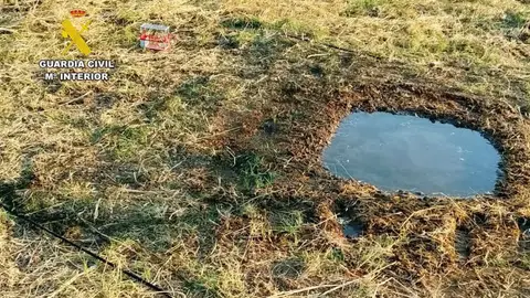 La Guardia Civil sorprende a un vecino de Badajoz cuando cazaba ilegalmente usando jilgueros para atraer aves La Guardia Civil sorprende a un vecino de Badajoz cuando cazaba ilegalmente usando jilgueros para atraer aves