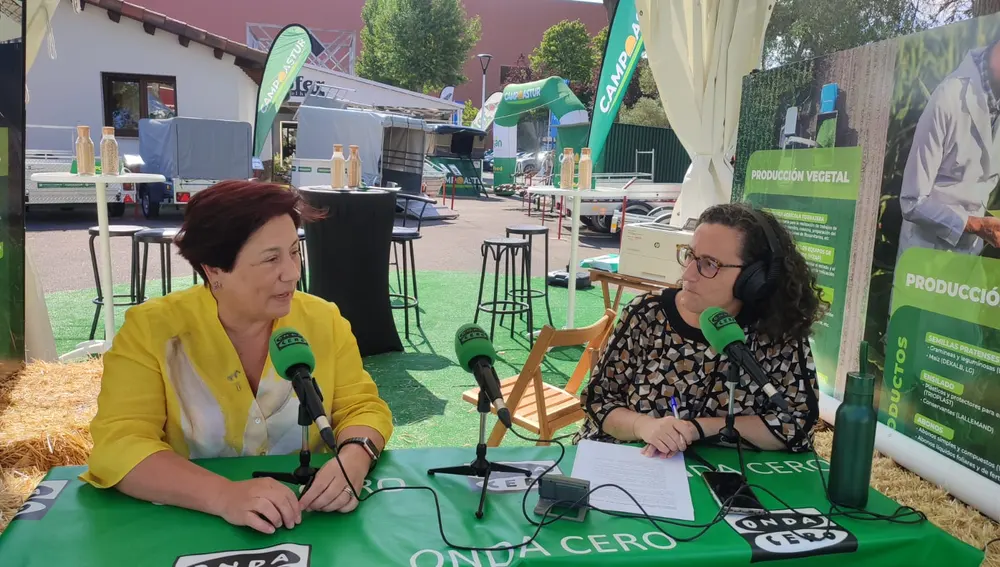 Carmen Moreno, exgerente de la Unión de Comerciantes del Principado en Onda Cero Carmen Moreno, exgerente de la Unión de Comerciantes del Principado en Onda Cero