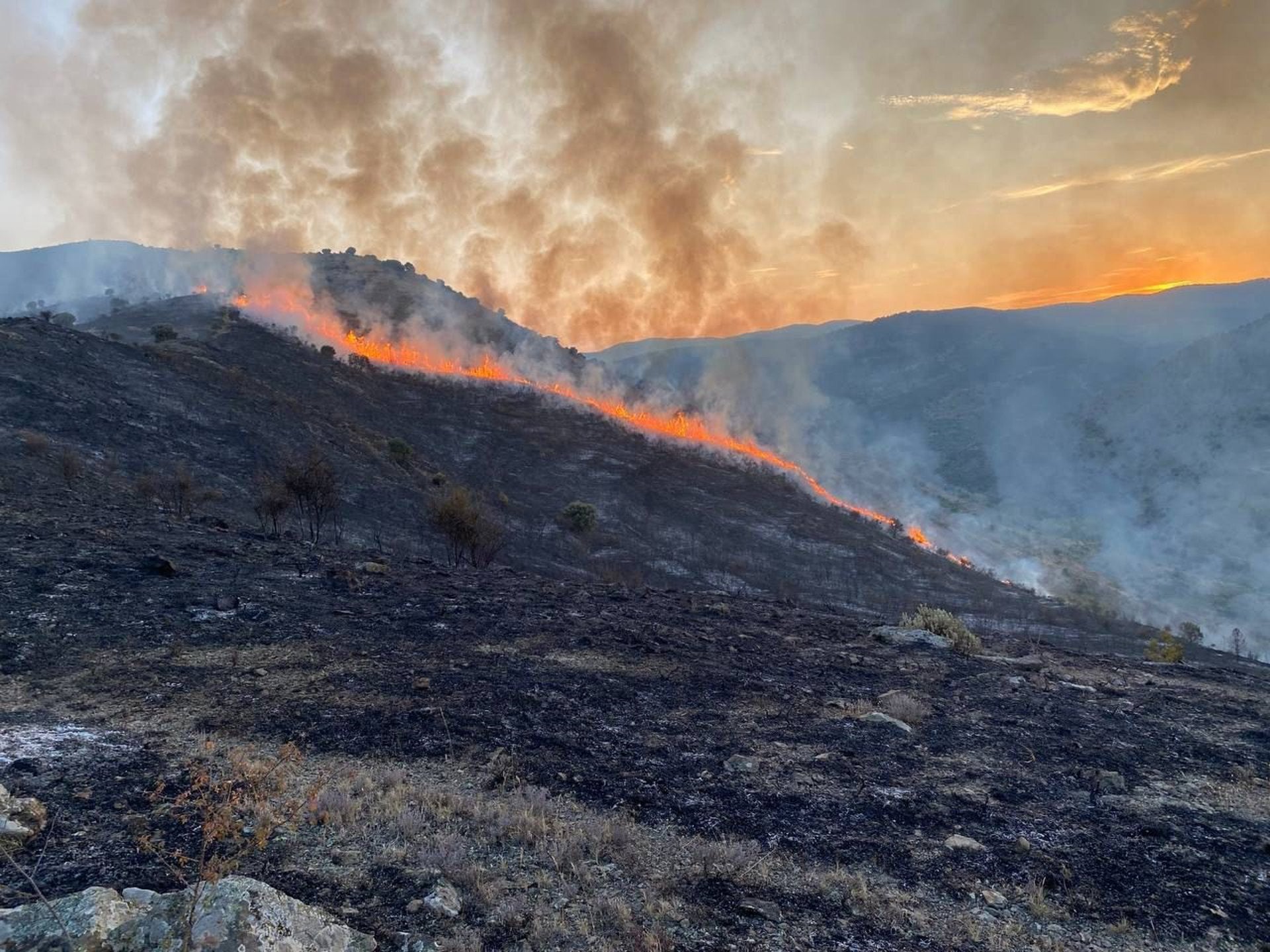 "Me he sentido muy arropado", agradece el alcalde de Cornago, tras dar por controlado el incendio de Valdeperillo "Me he sentido muy arropado", agradece el alcalde de Cornago, tras dar por controlado el incendio de Valdeperillo