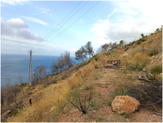 Altea actúa en la prevención de incendios en una superficie de más de 30.000 metros cuadrados Altea actúa en la prevención de incendios en una superficie de más de 30.000 metros cuadrados