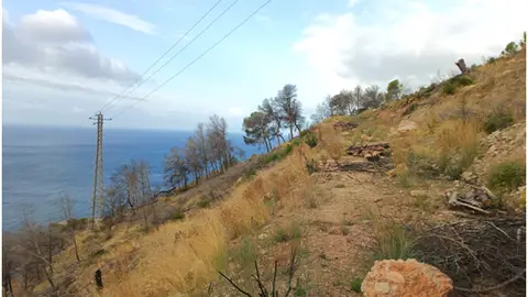 Altea actúa en la prevención de incendios en una superficie de más de 30.000 metros cuadrados Altea actúa en la prevención de incendios en una superficie de más de 30.000 metros cuadrados