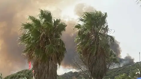 El incendio desde una zona cercana El incendio desde una zona cercana