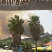 El incendio desde una zona cercana