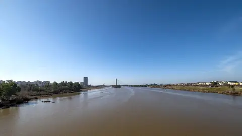 Un segundo análisis determinará la presencia de cianobacterias en el Guadiana a su paso por Badajoz y medidas a adoptar Un segundo análisis determinará la presencia de cianobacterias en el Guadiana a su paso por Badajoz y medidas a adoptar