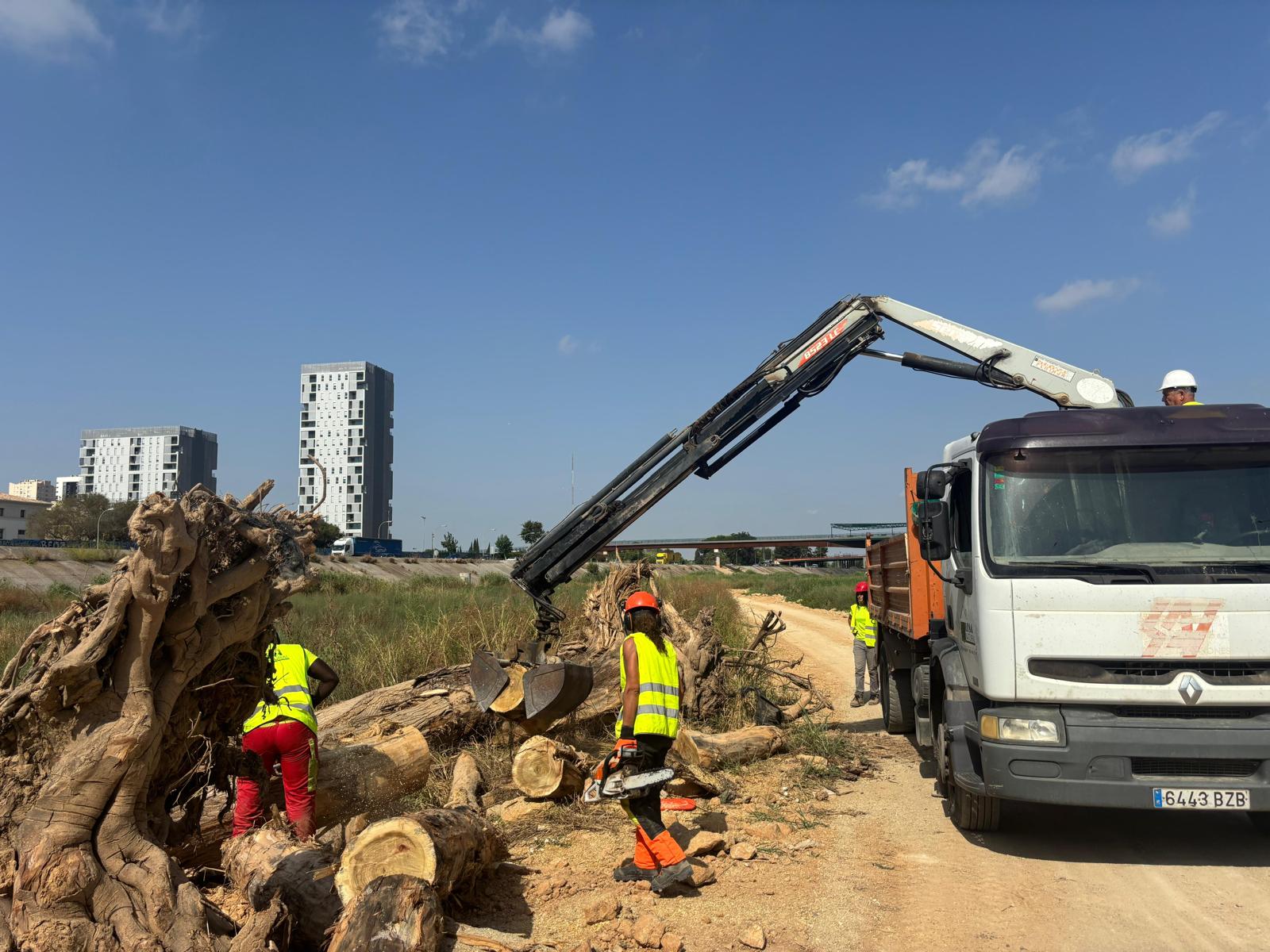 El Ayuntamiento de València ejecutará tareas de limpieza en al cauce del Túria en coordinación con la CHJ El Ayuntamiento de València ejecutará tareas de limpieza en al cauce del Túria en coordinación con la CHJ