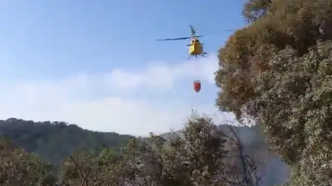 Efectivos trabajando en el paraje Las Lapas, en Constantina. - INFOCA Efectivos trabajando en el paraje Las Lapas, en Constantina. - INFOCA