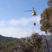 Efectivos trabajando en el paraje Las Lapas, en Constantina. - INFOCA