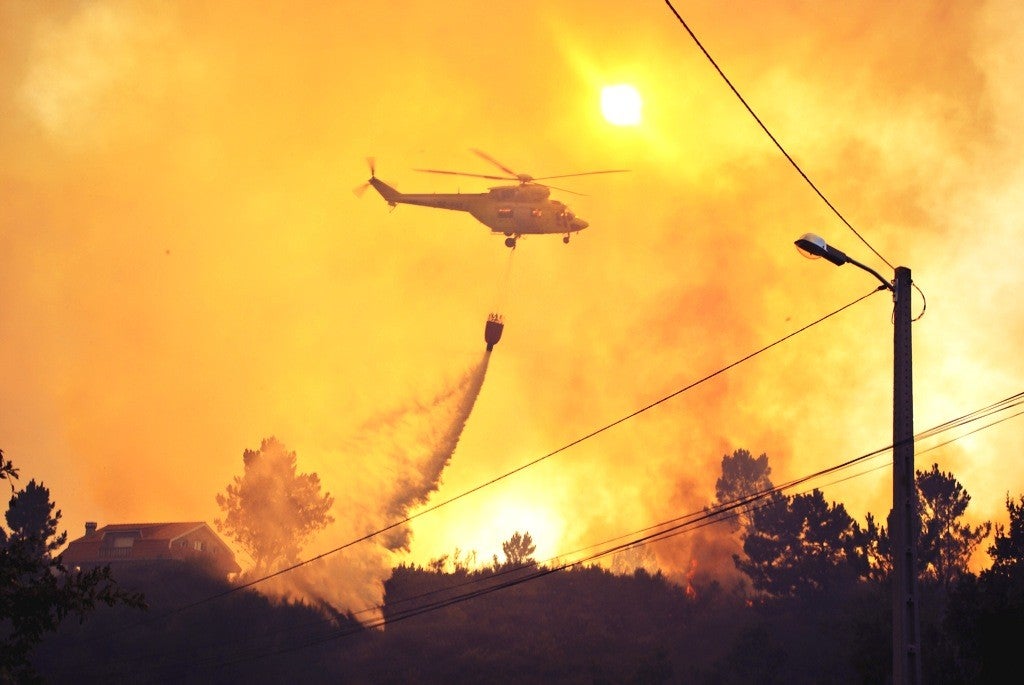 Detido in fragantti cando prantaba un lume perto de Ourense Detido in fragantti cando prantaba un lume perto de Ourense