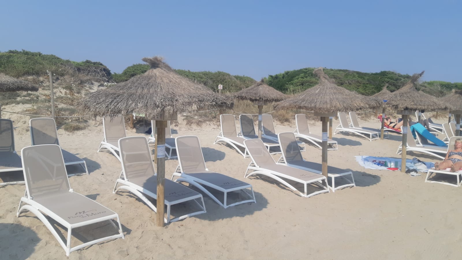 Los empresarios de playa de Mallorca atribuyen a la subida de precios y a la turismofobia una caída de ingresos del 20% en julio Los empresarios de playa de Mallorca atribuyen a la subida de precios y a la turismofobia una caída de ingresos del 20% en julio