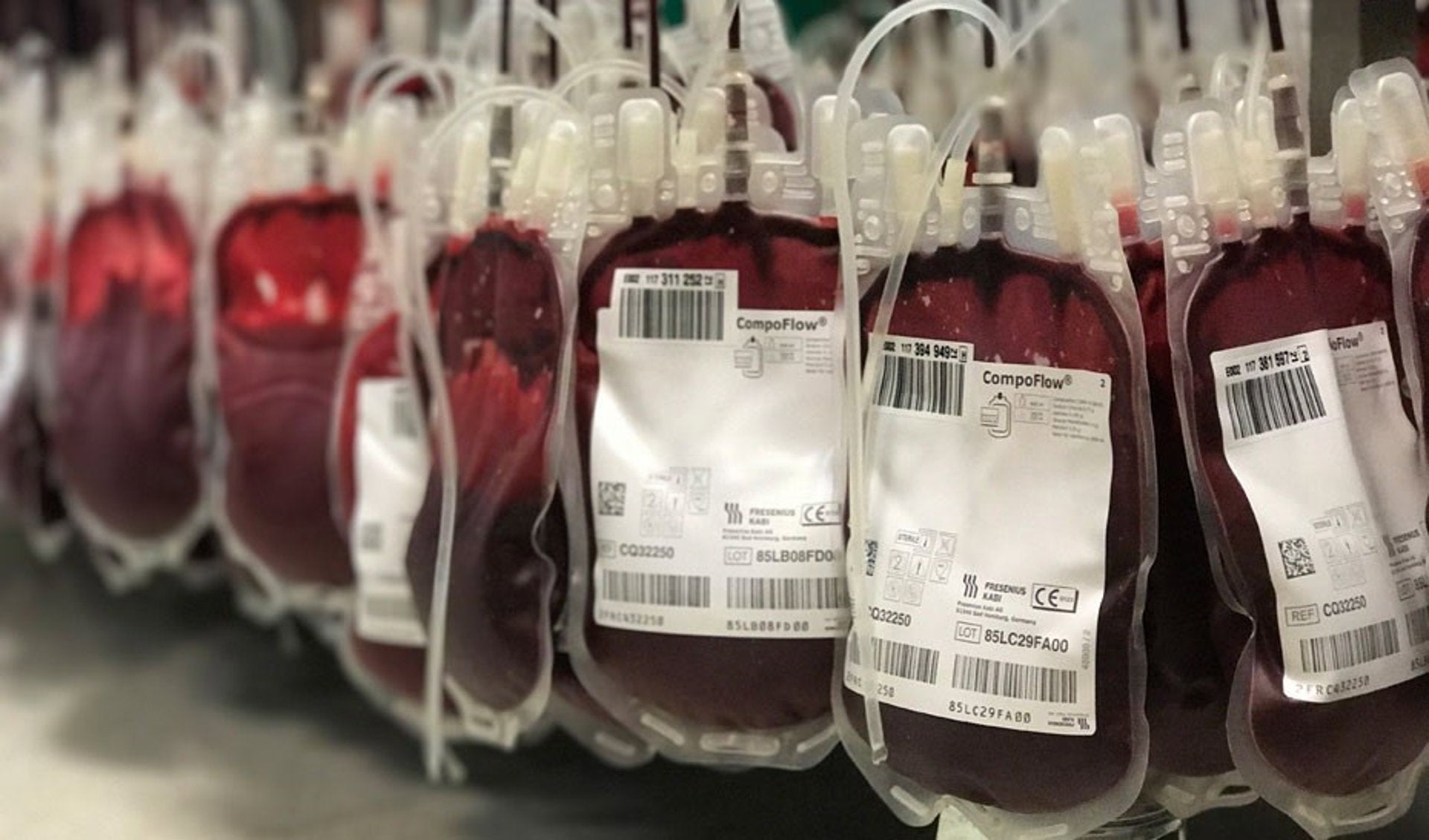 Imagen de bolsas de sangre tras donaciones de sangre y plasma - CONSERJERÍA DE SALUD Y CONSUMO Imagen de bolsas de sangre tras donaciones de sangre y plasma - CONSERJERÍA DE SALUD Y CONSUMO