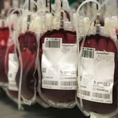 Imagen de bolsas de sangre tras donaciones de sangre y plasma - CONSERJERÍA DE SALUD Y CONSUMO Imagen de bolsas de sangre tras donaciones de sangre y plasma - CONSERJERÍA DE SALUD Y CONSUMO