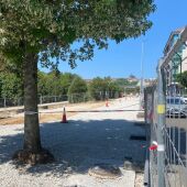 Avanzan los trabajos en el barrio verde de Pontepedriña con la retirada de especies exóticas e invasoras
