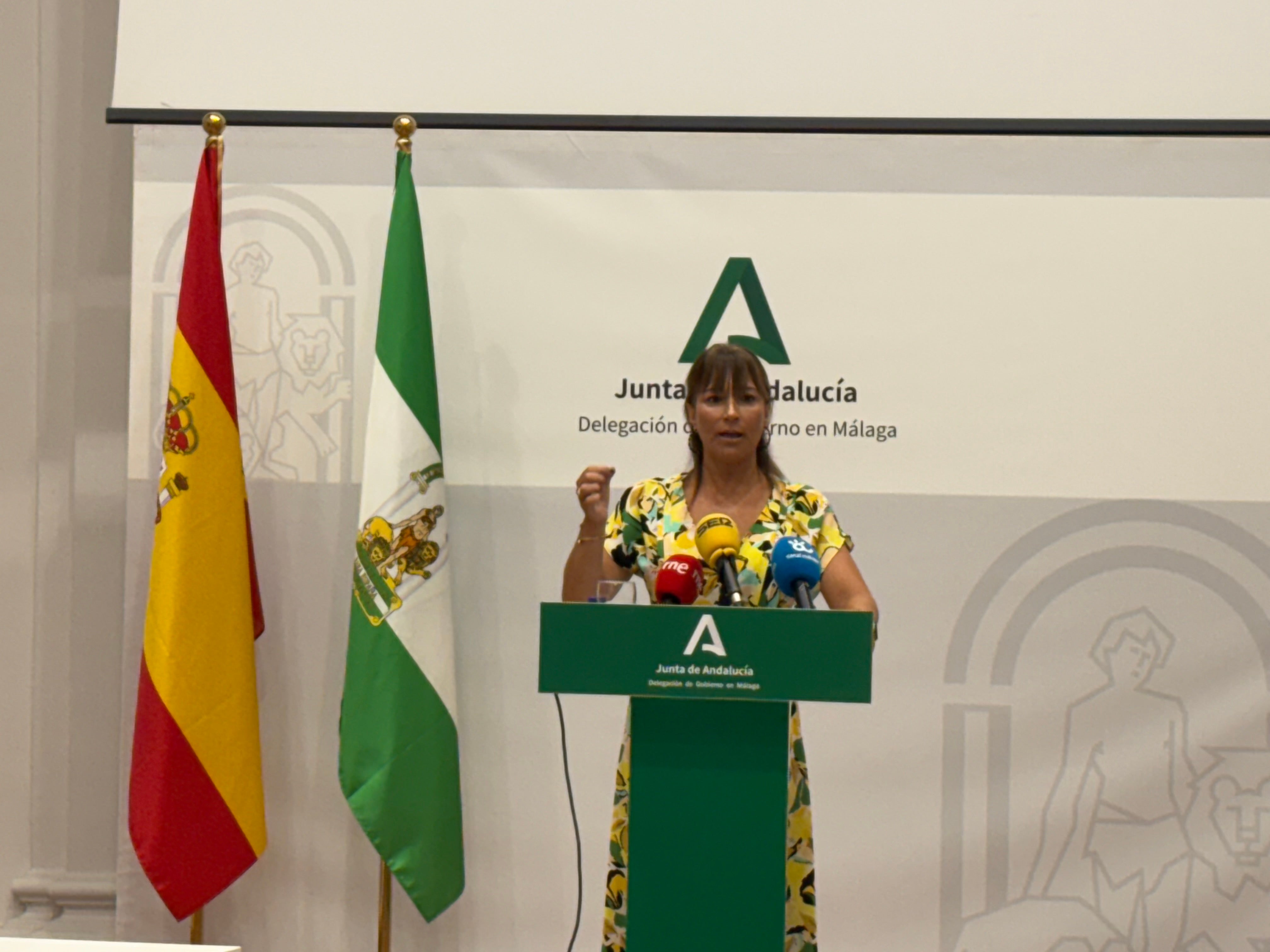 Ruth Sarabia: "Una de las funcionalidades que ofrece la plataforma es un programa de voluntarios de personas mayores para personas mayores" Ruth Sarabia: "Una de las funcionalidades que ofrece la plataforma es un programa de voluntarios de personas mayores para personas mayores"