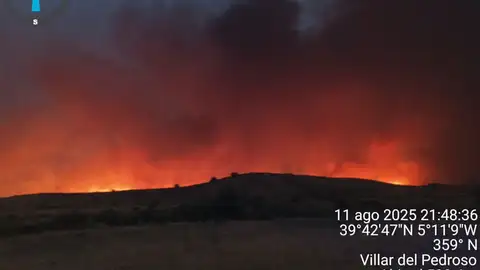 La Junta activa la situación operativa 1 del Plan Infocaex por el incendio de Navalmoralejo que ya afecta a Extremadura La Junta activa la situación operativa 1 del Plan Infocaex por el incendio de Navalmoralejo que ya afecta a Extremadura
