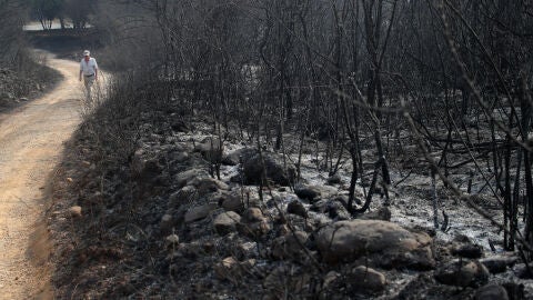 Im&aacute;genes de Las M&eacute;dulas tras el incendio