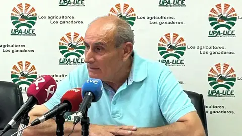 UPA-UCE Extremadura advierte de la "situación crítica" del ovino por la lengua azul ante el "abandono" de la Junta UPA-UCE Extremadura advierte de la "situación crítica" del ovino por la lengua azul ante el "abandono" de la Junta