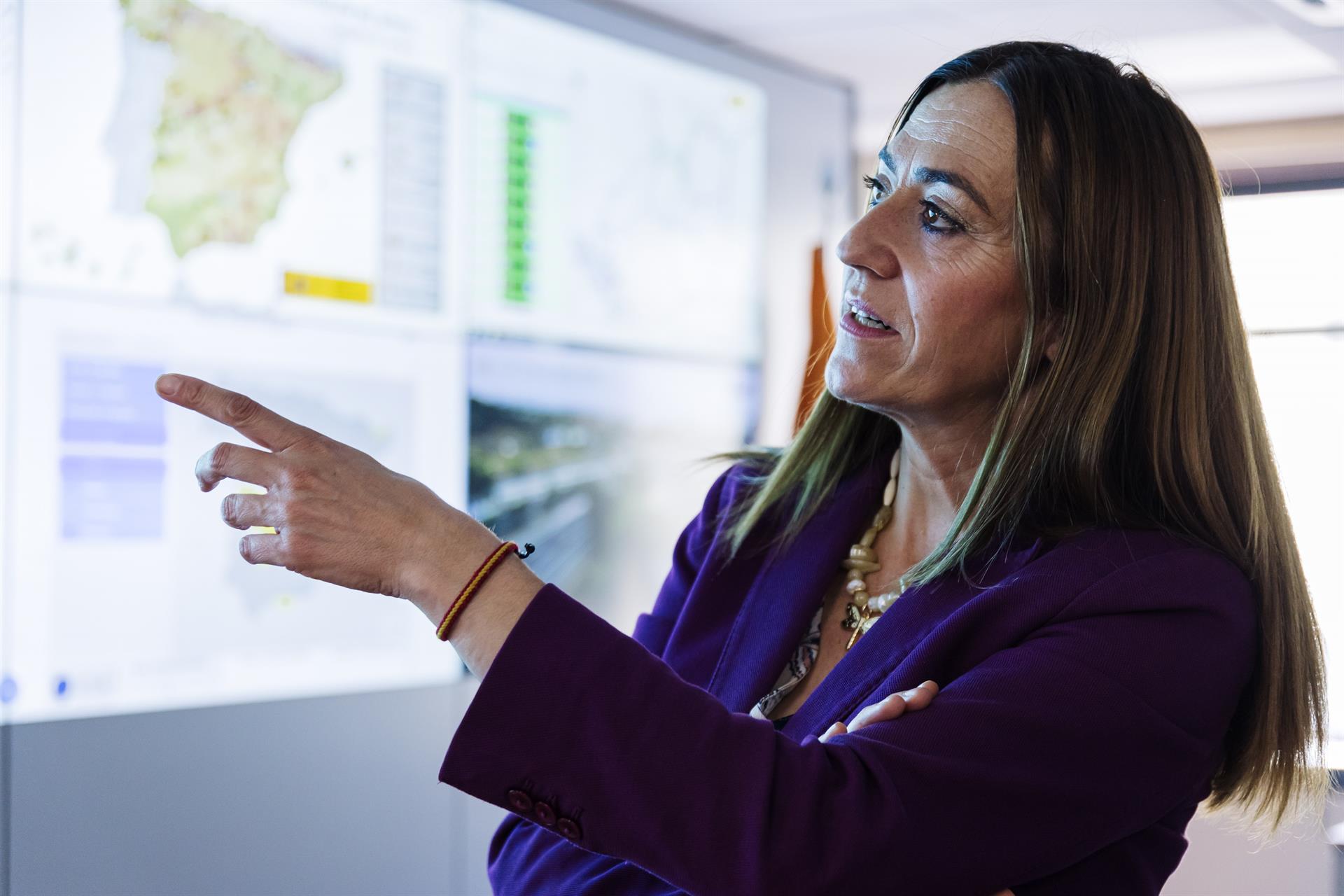 Interior activa la fase de preemergencia ante los múltiples incendios para coordinar la movilización de los recursos Interior activa la fase de preemergencia ante los múltiples incendios para coordinar la movilización de los recursos