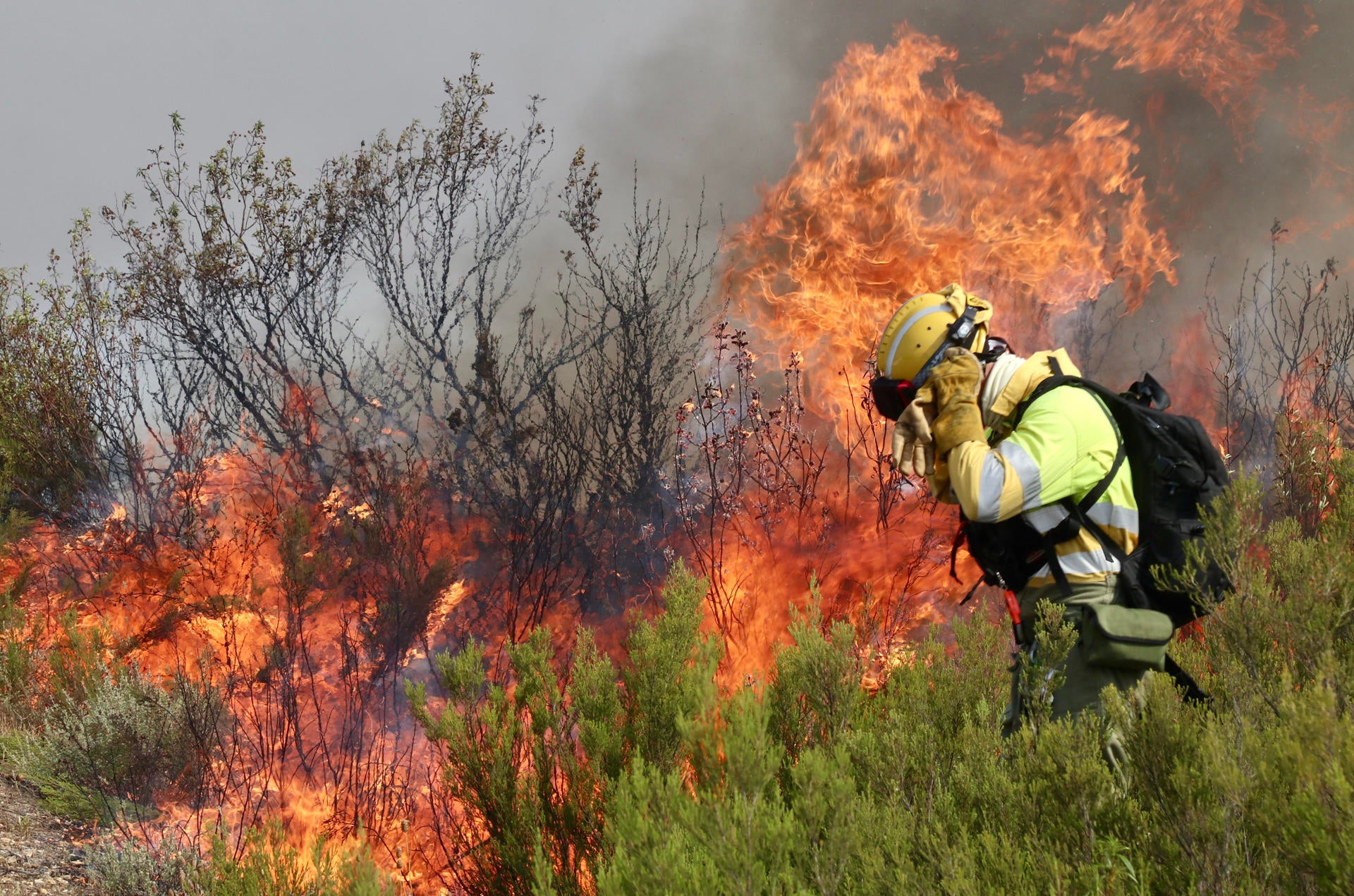 La Rioja continúa en riesgo extremo tras los 8 incendios simultáneos de la tarde del martes La Rioja continúa en riesgo extremo tras los 8 incendios simultáneos de la tarde del martes