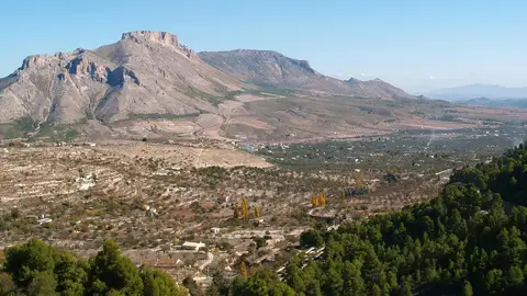 Sierra María-Los Vélez celebra 38 años como referente en biodiversidad y desarrollo rural Sierra María-Los Vélez celebra 38 años como referente en biodiversidad y desarrollo rural