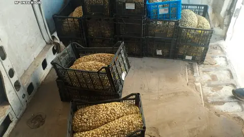 Interceptados en La Rioja 430 kilos de caracoles y caracolas silvestres destinados a su venta ilegal en Albacete Interceptados en La Rioja 430 kilos de caracoles y caracolas silvestres destinados a su venta ilegal en Albacete