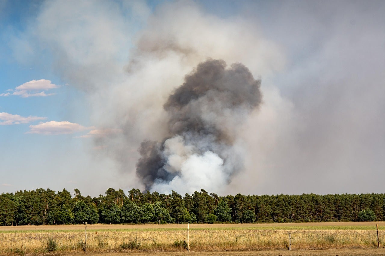 Alerta roja por riesgo de incendios en varias zonas de Aragón Alerta roja por riesgo de incendios en varias zonas de Aragón