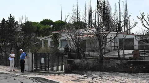 Una zona afectada por el incendio que desde ayer afecta a la localidad de Tres Cantos, Madrid Una zona afectada por el incendio que desde ayer afecta a la localidad de Tres Cantos, Madrid