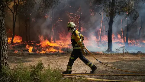 Los incendios de 2025 en cifras históricas: el territorio calcinado abarca casi el tamaño de la isla de Mallorca Los incendios de 2025 en cifras históricas: el territorio calcinado abarca casi el tamaño de la isla de Mallorca