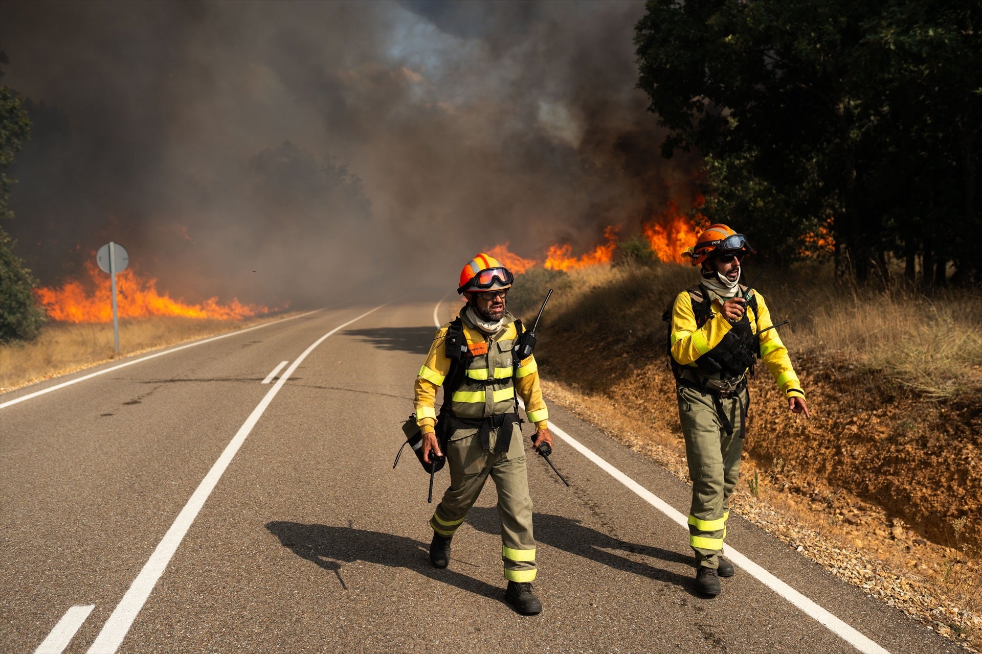 Javier Faúndez, presidente de la Diputación de Zamora: "En un incendio hablamos de los medios, la prevención, pero nunca de los pirómanos" Javier Faúndez, presidente de la Diputación de Zamora: "En un incendio hablamos de los medios, la prevención, pero nunca de los pirómanos"