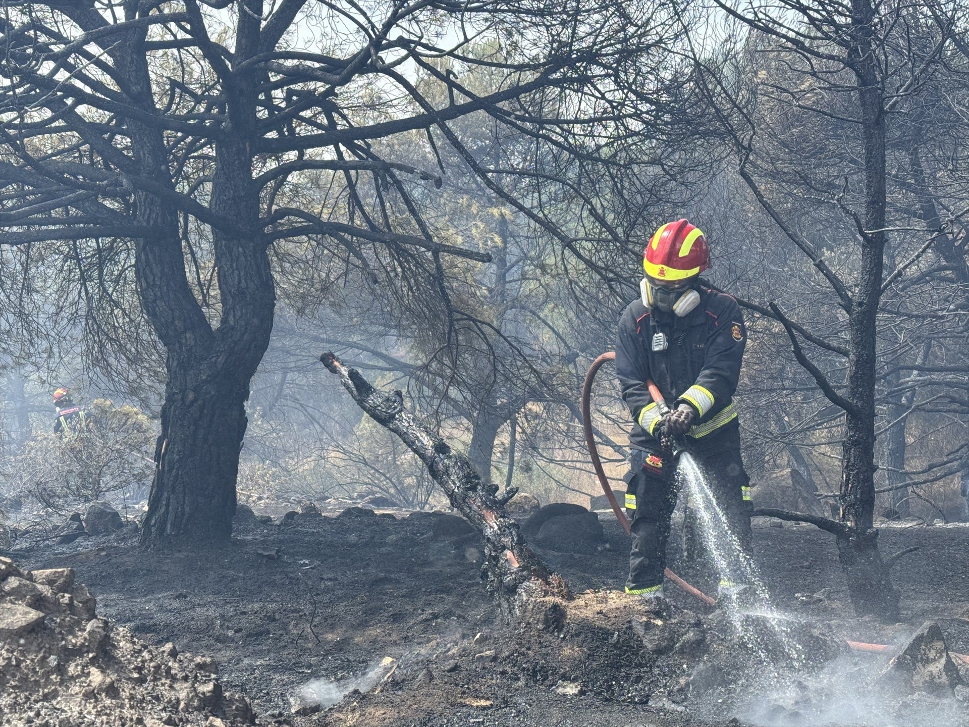 El secretario de Estado de Medio Ambiente niega falta de coordinación en los incendios: "El funcionamiento es operativo y ágil" El secretario de Estado de Medio Ambiente niega falta de coordinación en los incendios: "El funcionamiento es operativo y ágil"