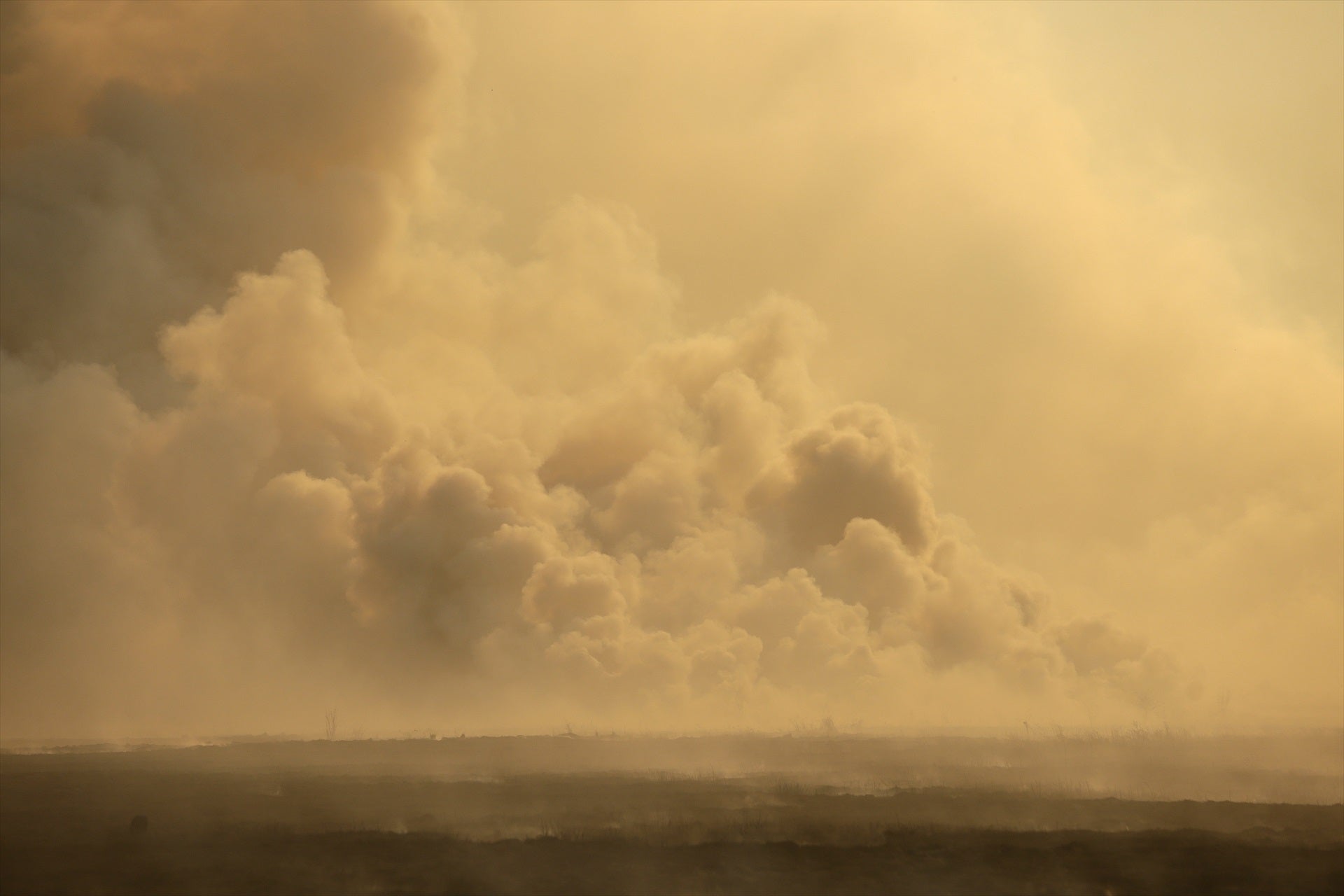 Una vecina de Alija del Infantado (León) narra su desesperación: "No hay coordinación ni información, nefasto" Una vecina de Alija del Infantado (León) narra su desesperación: "No hay coordinación ni información, nefasto"