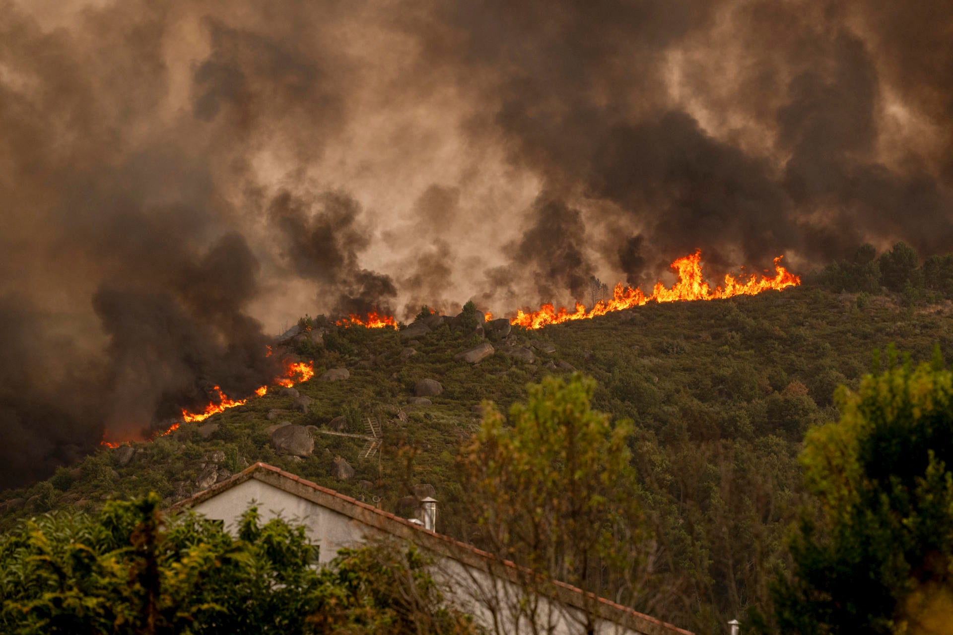 Incendios en Extremadura, Ourense y León: causas estructurales y testimonios Incendios en Extremadura, Ourense y León: causas estructurales y testimonios