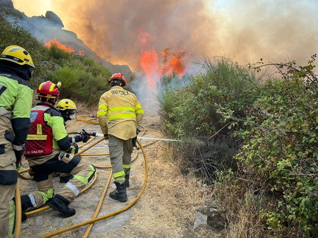 Bomberos de la Diputación de Cáceres intervienen en la extinción de seis incendios simultáneos Bomberos de la Diputación de Cáceres intervienen en la extinción de seis incendios simultáneos