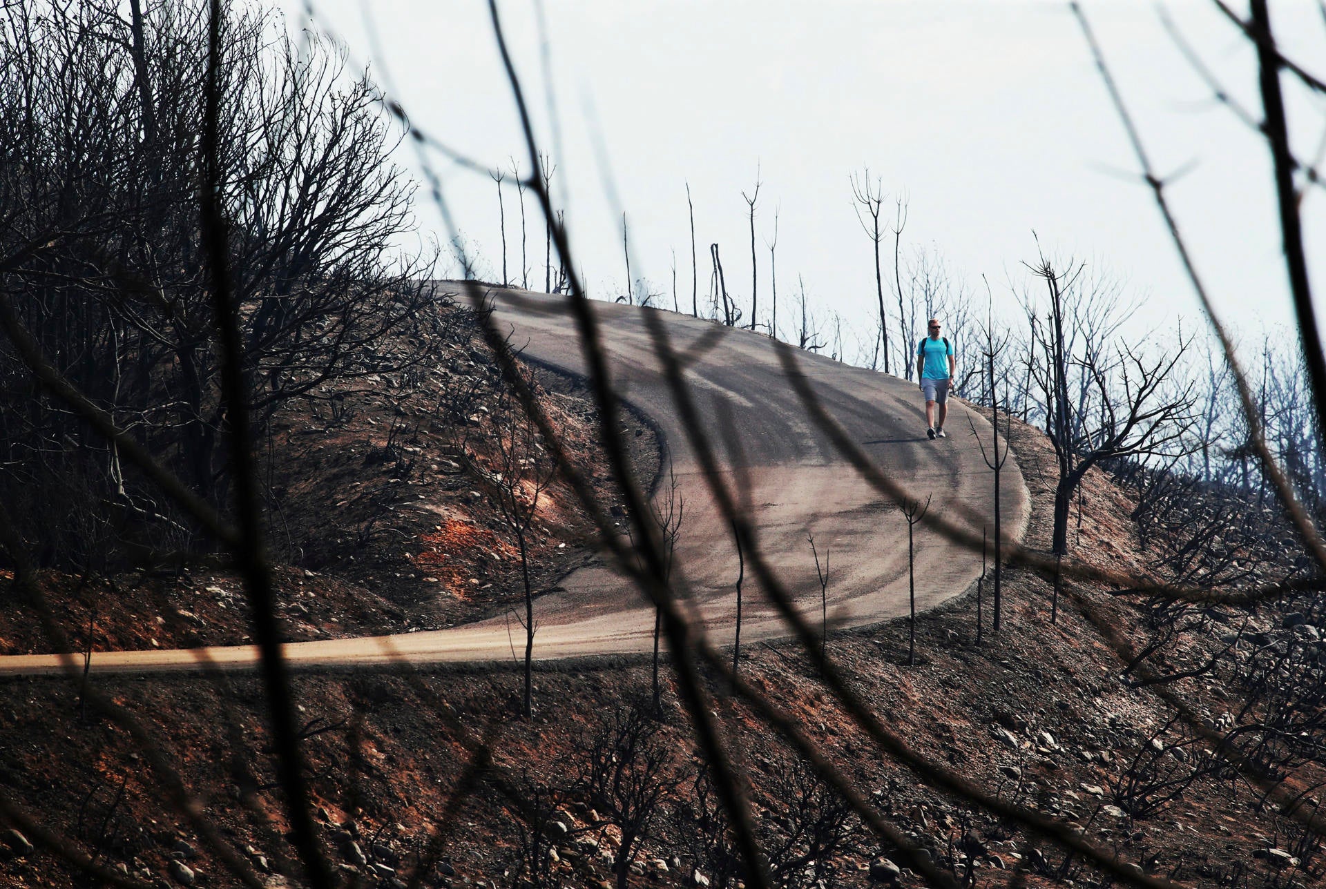 Muere uno de los heridos por las quemaduras que sufrió al combatir el incendio de Zamora y León Muere uno de los heridos por las quemaduras que sufrió al combatir el incendio de Zamora y León