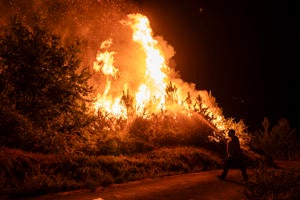 Recibido como un héroe: puesto en libertad el vecino de Orense que prendió un cortafuegos para frenar los incendios Recibido como un héroe: puesto en libertad el vecino de Orense que prendió un cortafuegos para frenar los incendios