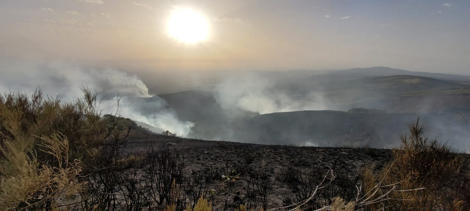 La Xunta desactiva la situación 2 en la provincia de Ourense por la mejora en la evolución de los incendios La Xunta desactiva la situación 2 en la provincia de Ourense por la mejora en la evolución de los incendios