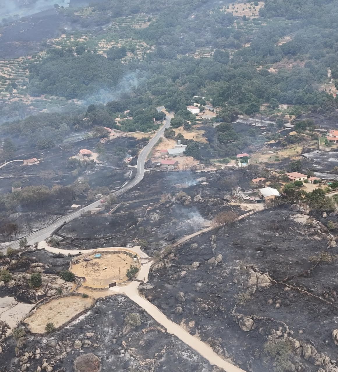 Pilar Montero: "Resembraremos todo lo que podamos desde nuestro parapente" Pilar Montero: "Resembraremos todo lo que podamos desde nuestro parapente"