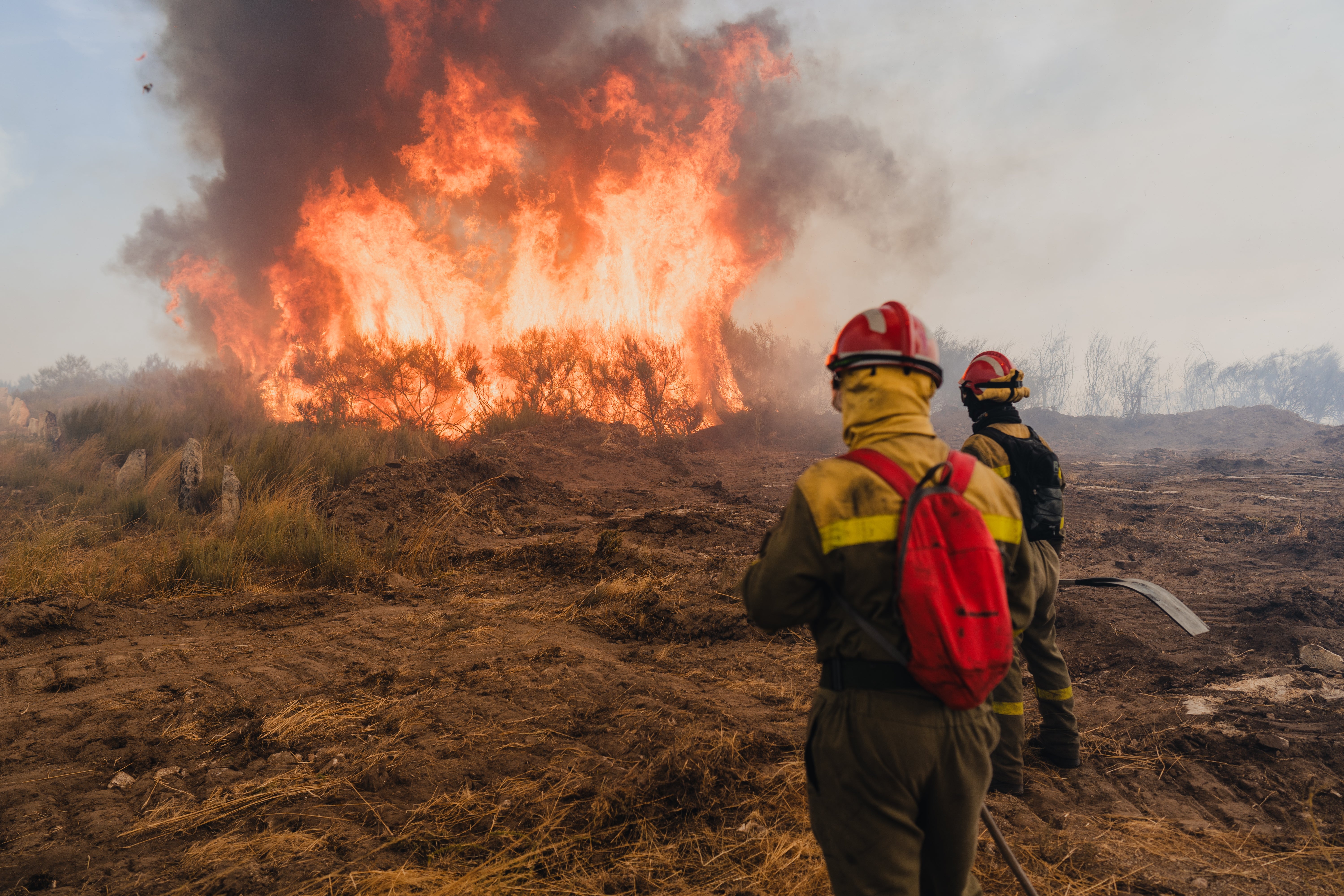 Así es la legislación contra incendios que hay en España: multas por provocarlos, competencias, prevención… Así es la legislación contra incendios que hay en España: multas por provocarlos, competencias, prevención…