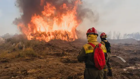 Así es la legislación contra incendios que hay en España: multas por provocarlos, competencias, prevención… Así es la legislación contra incendios que hay en España: multas por provocarlos, competencias, prevención…