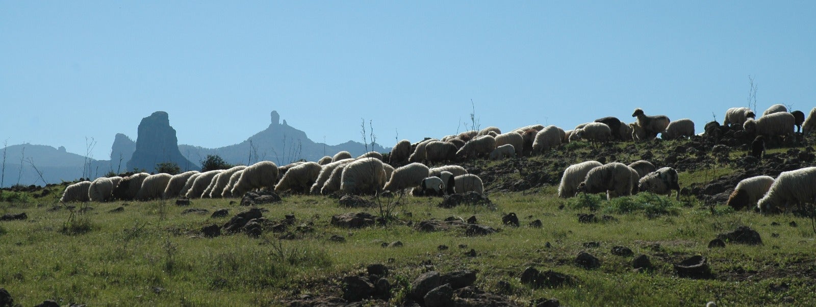 Más de Uno Canarias 19/08/2025 Más de Uno Canarias 19/08/2025