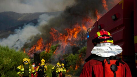 fectivos de la UME trabajan hoy lunes en el incendio de Jarilla (C&aacute;ceres). El incendio de Jarilla