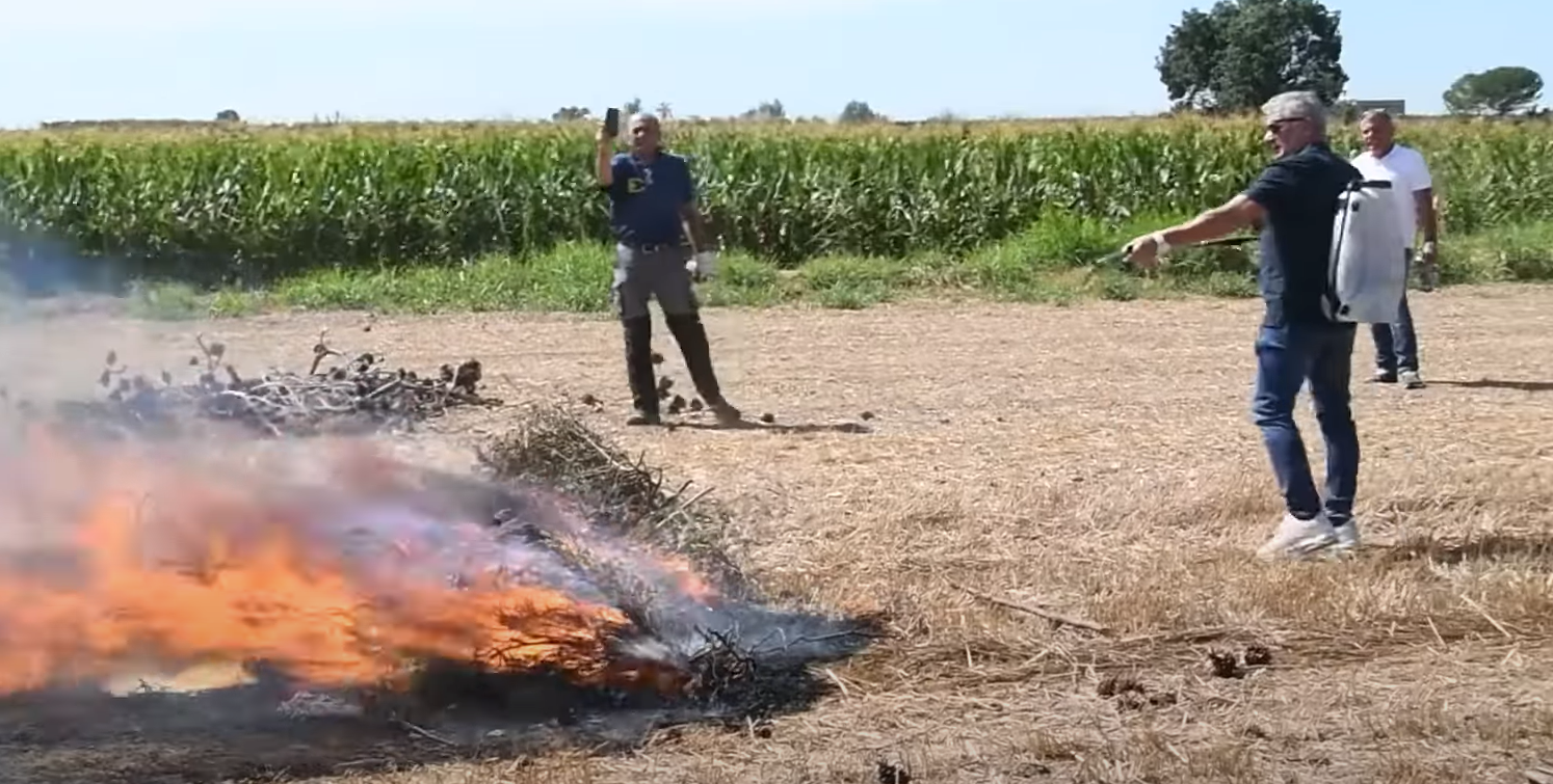 40 veces más efectivo que el agua para apagar incendios: así lo señalan los creadores de este producto español 40 veces más efectivo que el agua para apagar incendios: así lo señalan los creadores de este producto español