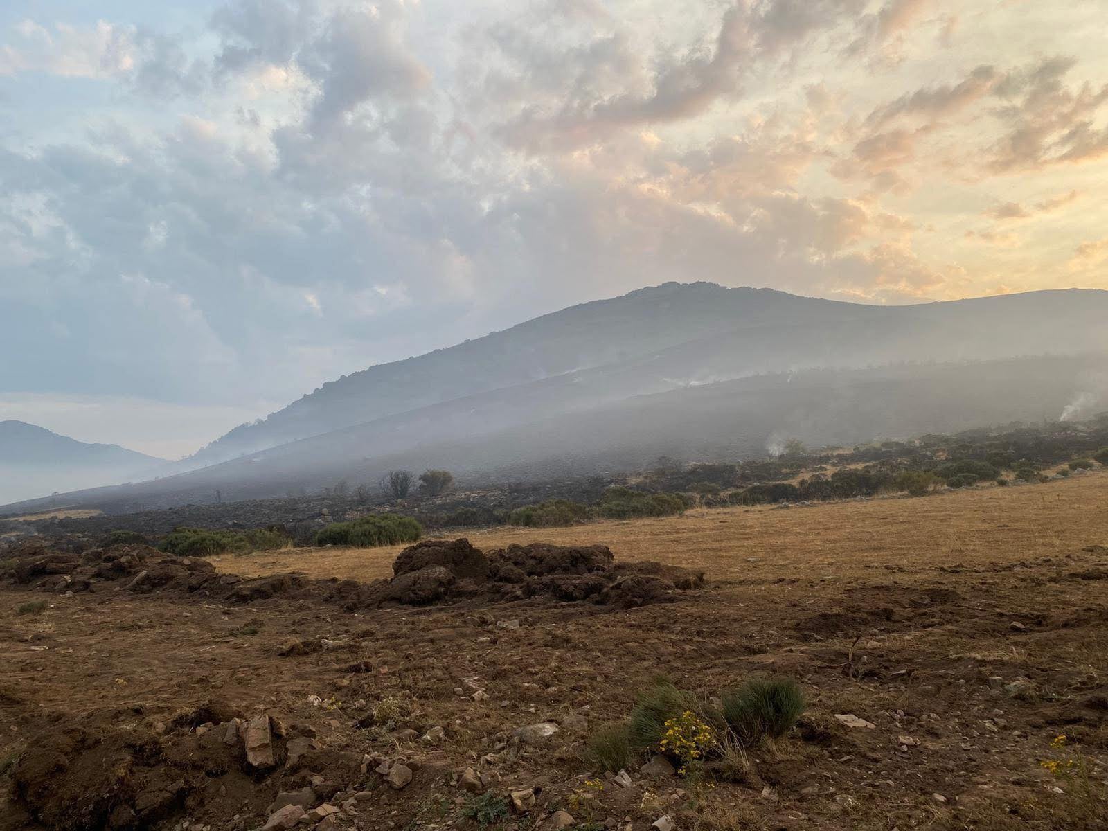 La Junta califica como "falsas" las afirmaciones del alcalde de Cervera al respecto del incendio de Resoba La Junta califica como "falsas" las afirmaciones del alcalde de Cervera al respecto del incendio de Resoba